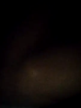 t2pnb online show from December 3, 12:18 am