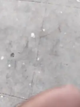 Wet BunnyFun online show from November 5, 12:05 pm