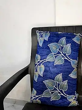 sneha bebo online show from November 29, 3:15 pm