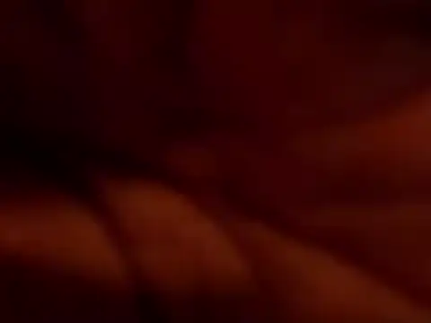 Snapshot of TRANSPORNIDOL chatting on November 22, 7:24 pm TRANSPORNIDOL online show from November 22, 7:24 pm