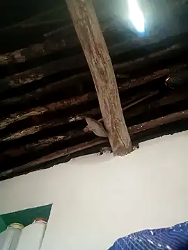 Hot siiii online show from November 1, 1:18 am