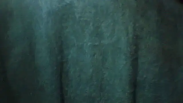 pietje1991 online show from February 28, 3:46 pm