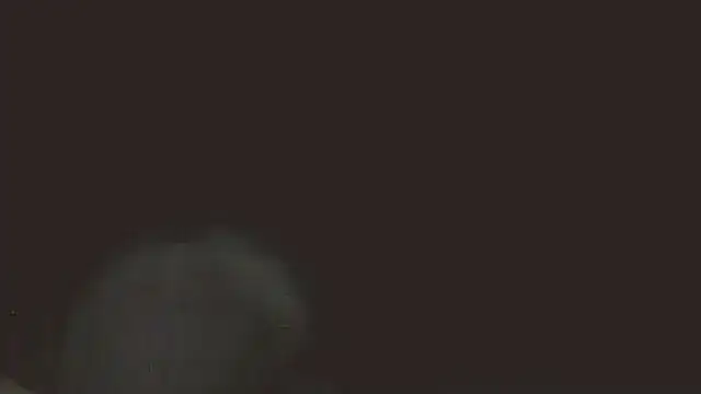 pietje1991 online show from May 16, 11:36 pm