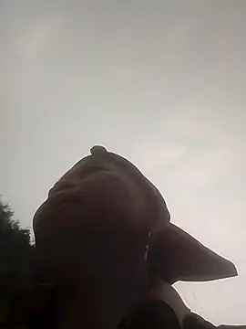 VangLe73 online show from March 27, 9:42 am