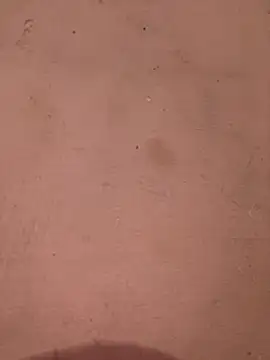 sakshi5533 online show from November 28, 7:27 pm