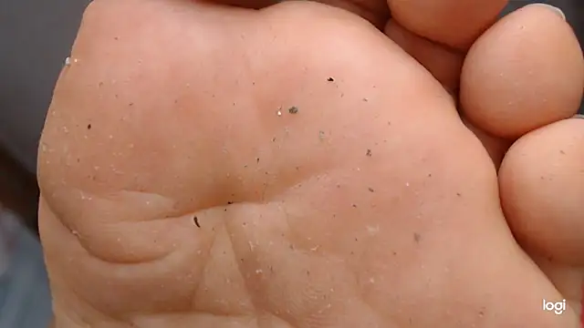 ash feet online show from September 22, 4:03 am