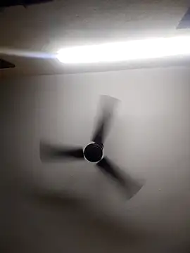 Devi-with-Ram online show from October 13, 4:34 am