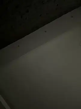 ALANNFERRER online show from October 4, 9:40 am