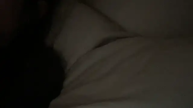 dddasani online show from January 17, 4:33 pm