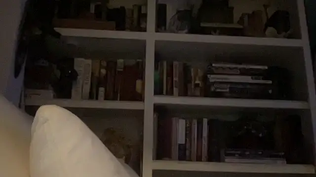 dddasani online show from January 19, 2:37 am