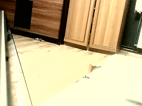 KissMeAss9387 online show from September 28, 7:08 pm