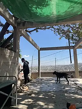 Shankortiz online show from April 6, 9:16 pm