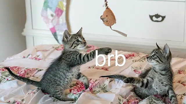 Snapshot of Pink_girl0n chatting on March 25, 11:44 pm Pink girl0n online show from March 25, 11:44 pm