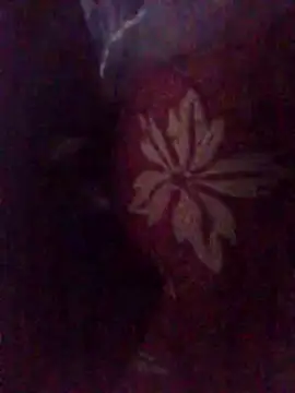 Amin Dz-20 online show from January 7, 11:29 pm