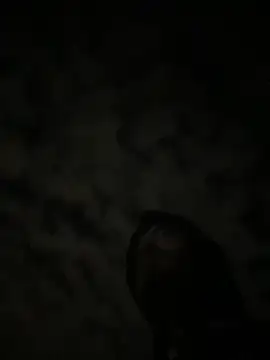 theone3121 online show from October 15, 11:43 am