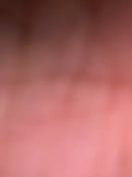 ninjabod online show from October 30, 8:20 pm