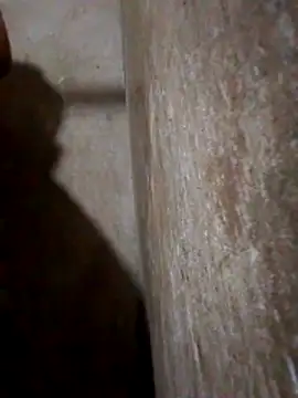 Lujor online show from March 25, 3:45 am