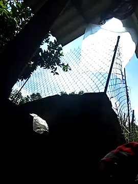 Bibilenu online show from October 5, 4:22 am