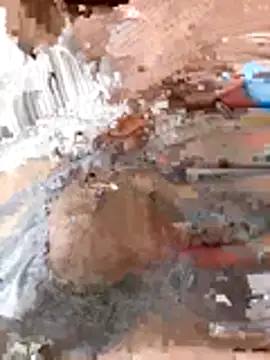 Snapshot of tw_swag chatting on January 6, 7:45 am tw swag online show from January 6, 7:45 am