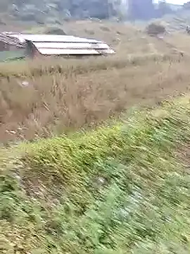 Phuongphuongg online show from October 20, 2:23 am