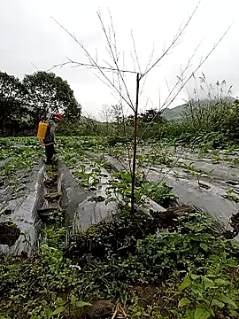 Exembin online show from October 24, 1:57 am