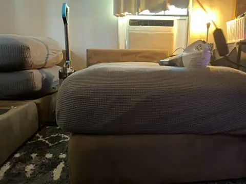 bearcub300 online show from February 1, 2:15 pm