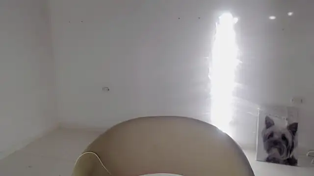 Stein  online show from September 19, 11:55 am