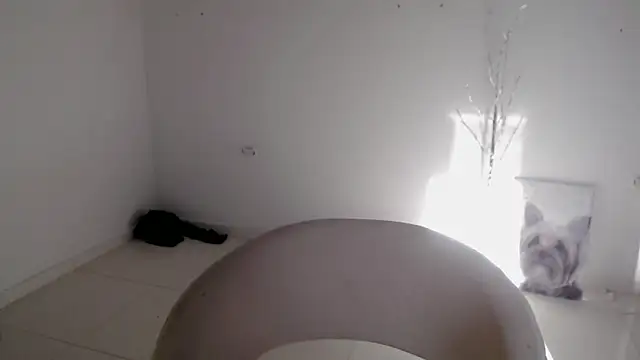 Stein  online show from September 24, 12:52 pm