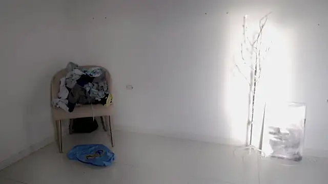 Stein  online show from September 25, 11:58 am