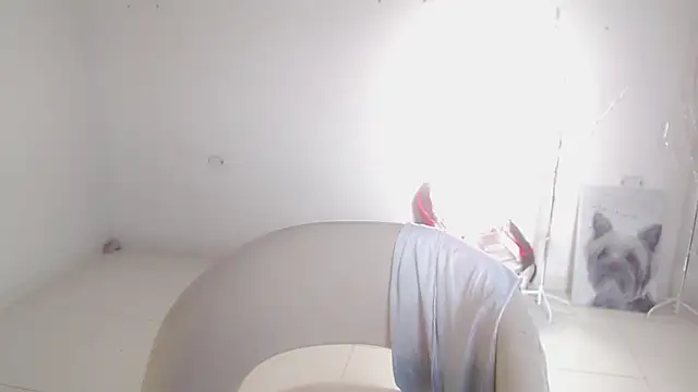 Stein  online show from September 26, 12:09 pm