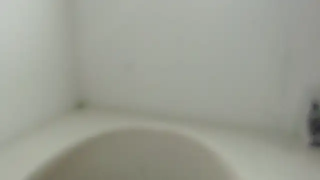 Stein  online show from September 27, 12:10 pm