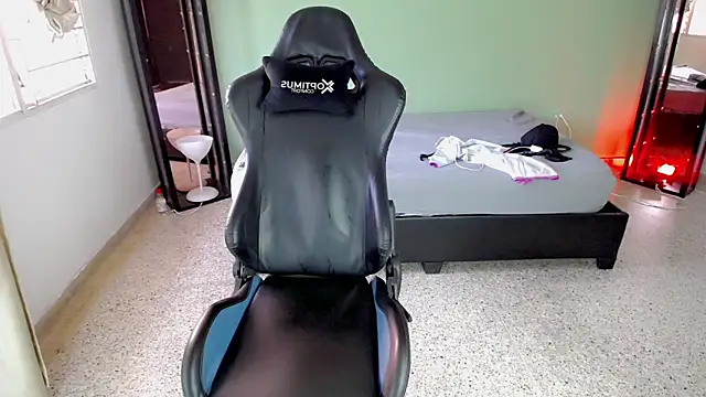 Stein  online show from October 6, 1:30 pm