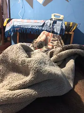 m11a2f3a4z5 online show from March 22, 12:52 pm