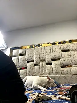 DayanaDG online show from January 9, 5:54 am