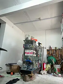 Terra-22cm online show from February 14, 2:36 pm