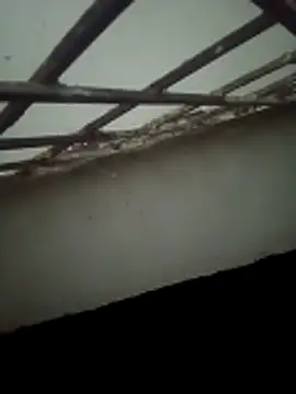 Snapshot of Daisygirl9 chatting on October 22, 9:36 pm Daisygirl9 online show from October 22, 9:36 pm