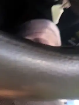 Snapshot of Frank0021 chatting on November 4, 5:34 pm Frank0021 online show from November 4, 5:34 pm