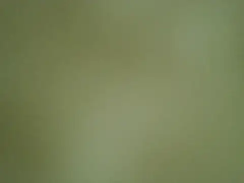 Snapshot of Quarentaoon chatting on October 4, 3:32 pm Quarentaoon online show from October 4, 3:32 pm