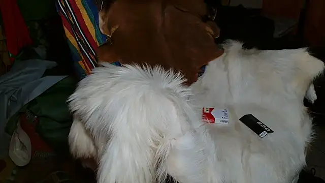 Snapshot of JUSTFORRICH chatting on January 8, 10:12 pm JUSTFORRICH online show from January 8, 10:12 pm