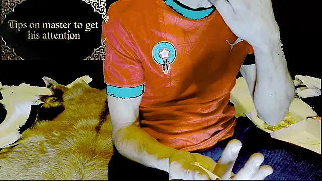 Snapshot of JUSTFORRICH chatting on January 15, 3:00 am JUSTFORRICH online show from January 15, 3:00 am