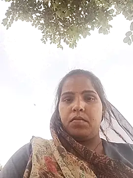 Cut rajbati online show from October 8, 8:45 am