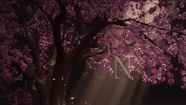EdenArcadia online show from May 20, 6:52 am