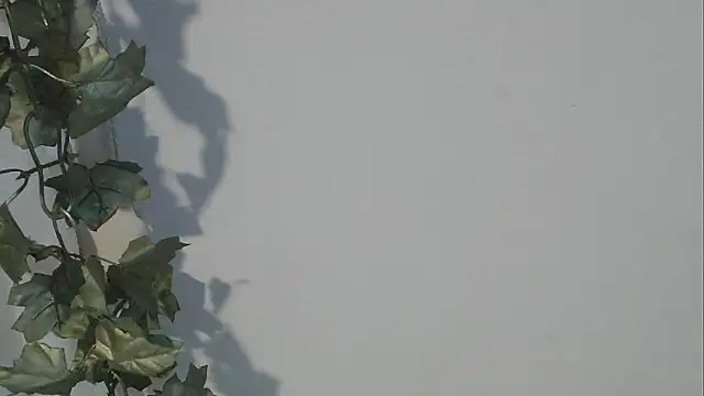 angelainparis28 online show from October 5, 8:12 am