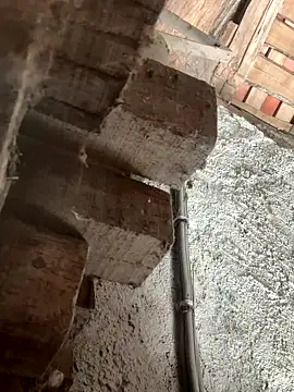 fcach2244 online show from September 9, 8:25 am