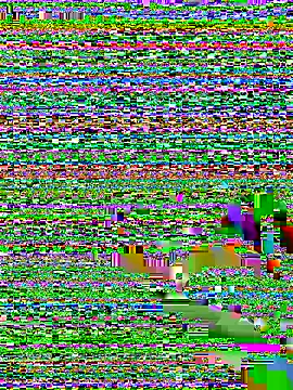 amnnnnnnnnnnn online show from December 5, 12:30 am