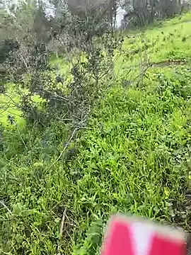 Yasar-Xxxl online show from March 6, 3:52 pm