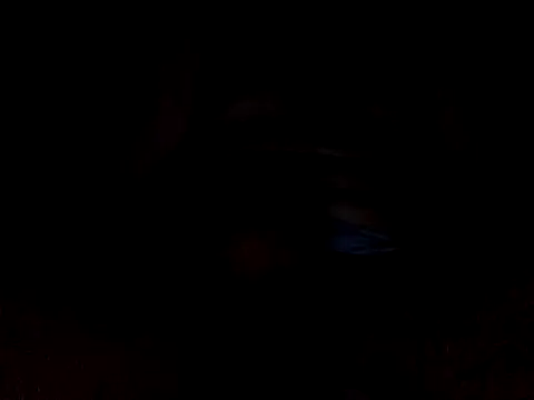 CaiBull online show from October 26, 8:48 pm