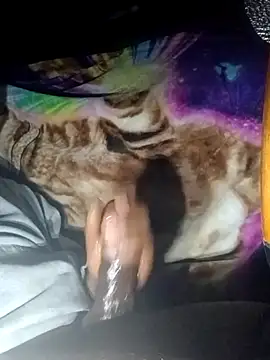 Snapshot of ANDACONDA-PYTHON chatting on November 2, 11:56 am ANDACONDA-PYTHON online show from November 2, 11:56 am