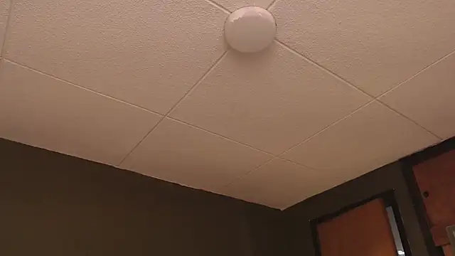 PaulEvens online show from October 17, 1:25 pm