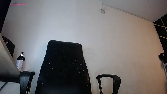 Snapshot of LickMyInk chatting on February 1, 12:09 am LickMyInk online show from February 1, 12:09 am